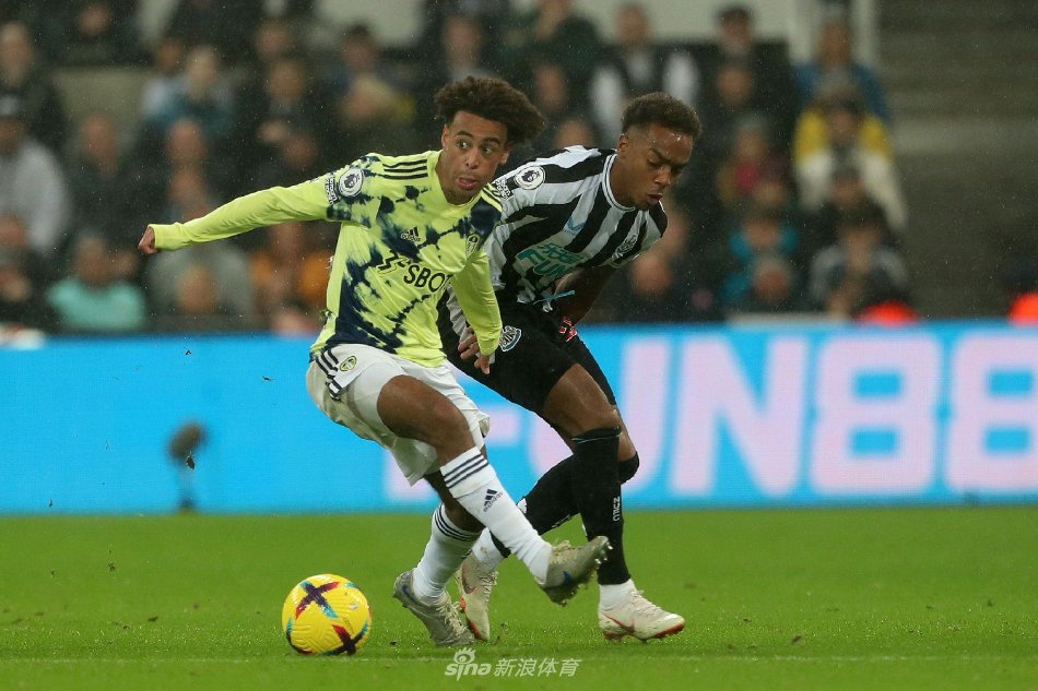 联合杯迎来 联合杯迎来